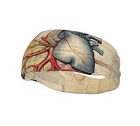 Fashion sports decorative sweatband FUUNTL human anatomy heart chart Picture Headbands for men and women