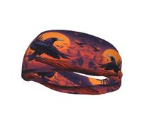 Fashion sports decorative sweatband FUUNTL Ravens Picture Headbands for men and women