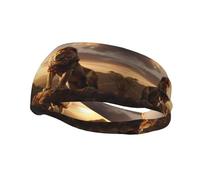 Fashion sports decorative sweatband FUUNTL The Lion King Picture Headbands for men and women