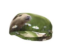 Fashion sports decorative sweatband YYHHAOFA Cute Guinea Pig Printed Headbands for men and women