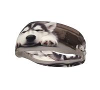 Fashion sports decorative sweatband YYHHAOFA Husky Dog Printed Headbands for men and women