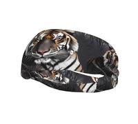 Fashion sports decorative sweatband YYHHAOFA Tiger at rest Printed Headbands for men and women