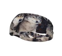 Fashion sports decorative sweatband YYHHAOFA Two wolves Printed Headbands for men and women
