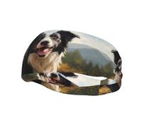Fashion sports decorative sweatband YYHWHJDE Border Collie Pattern Headbands for men and women