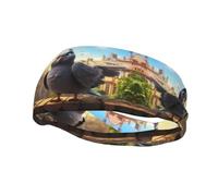 Fashion sports decorative sweatband YYHWHJDE cartoon pigeon Pattern Headbands for men and women