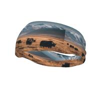 Fashion sports decorative sweatband YYHWHJDE Cattle on the Prairie Pattern Headbands for men and women