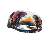 Fashion sports decorative sweatband YYHWHJDE Colorful Elephant Pattern Headbands for men and women