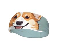 Fashion sports decorative sweatband YYHWHJDE Cute Corgi Pattern Headbands for men and women