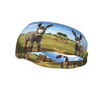 Fashion sports decorative sweatband YYHWHJDE Cute donkey Pattern Headbands for men and women