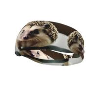 Fashion sports decorative sweatband YYHWHJDE Cute hedgehog Pattern Headbands for men and women