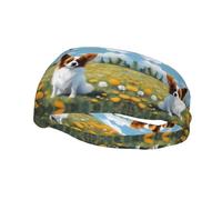Fashion sports decorative sweatband YYHWHJDE cute White Papillon Pattern Headbands for men and women