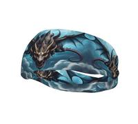 Fashion sports decorative sweatband YYHWHJDE Flying Dragon Pattern Headbands for men and women