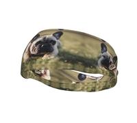 Fashion sports decorative sweatband YYHWHJDE French Bulldog Dog Cute Pattern Headbands for men and women