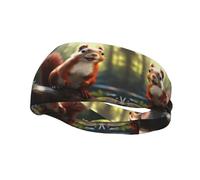 Fashion sports decorative sweatband YYHWHJDE Funny Squirrel Pattern Headbands for men and women