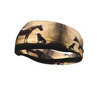 Fashion sports decorative sweatband YYHWHJDE Horse Meets Dog Pattern Headbands for men and women