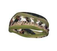 Fashion sports decorative sweatband YYHWHJDE Horses at the gallop Pattern Headbands for men and women