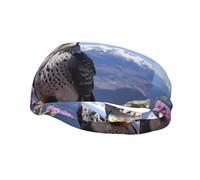 Fashion sports decorative sweatband YYHWHJDE Mountain Top Falcon Pattern Headbands for men and women