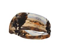 Fashion sports decorative sweatband YYHWHJDE North American bison herd Pattern Headbands for men and women