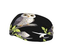 Fashion sports decorative sweatband YYHWHJDE Owl chirping on a willow branch Pattern Headbands for men and women