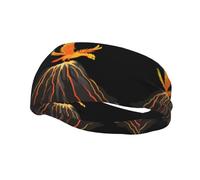 Fashion sports decorative sweatband YYHWHJDE Phoenix on the volcano Pattern Headbands for men and women