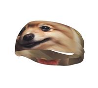 Fashion sports decorative sweatband YYHWHJDE Pomeranian and flowers Pattern Headbands for men and women