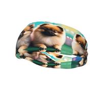 Fashion sports decorative sweatband YYHWHJDE Pomeranians Puppies and Point Pattern Headbands for men and women