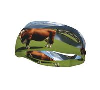 Fashion sports decorative sweatband YYHWHJDE Real Swiss Cow Brown Pattern Headbands for men and women