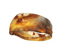 Fashion sports decorative sweatband YYHWHJDE Red Flame Phoenix Pattern Headbands for men and women