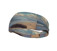 Fashion sports decorative sweatband YYHWHJDE Sea lions ashore Pattern Headbands for men and women