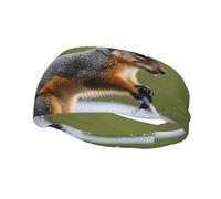 Fashion sports decorative sweatband YYHWHJDE Water Skiing fox Squirrel Pattern Headbands for men and women