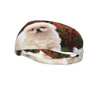 Fashion Sports Sweatband Whjshop Short-Haired Pomeranian Dog Prints Headbands Absorb Sweat For Men And Women