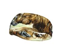 Fashion Sports Sweatband Whjshop White Tiger And Lion Prints Headbands Absorb Sweat For Men And Women