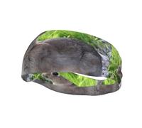 Fashion sports sweatband YUGTAEE Cute Grey Hare Rabbit Picture Headbands Absorb sweat for men and women