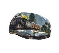 Fashion sports sweatband YUGTAEE Steam Train Picture Headbands Absorb sweat for men and women