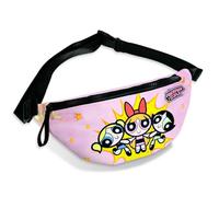 Fashion Waist Pack for Boys Girls, Multicolor, Ppg-pink1