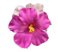 Fashionable Beach Hair Barrettes Unique Flower Clamp Hairpin Clip Stylish Accessory Casual Use