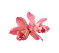 Fashionable Fabric Hair Accessory Stylish Hairpin Barrette with Secure Grip for Long Time Hold Fabric Hair Accessory