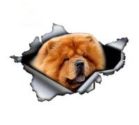 Fashionable Personalized Tear-Off Metal Dog Decal for Cars Motorcycles Bumper Vinyl Sticker 13cm X 9cm(13cmx9cm)