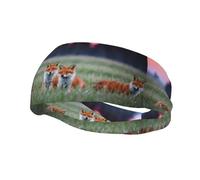 Fashionable sports decorative sweatband HJFCZH Prairie Fox Prints moisture wicking elastic suitable for cycling yoga running