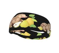Fashionable sports decorative sweatband WHJSSF Pangolin Eating Pears Picture moisture wicking elastic suitable for cycling yoga running