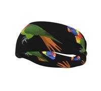 Fashionable sports decorative sweatband WHJSSF Rainbow Lorikeet Printing moisture wicking elastic suitable for cycling yoga running