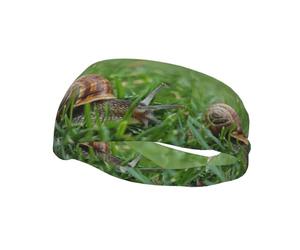 Fashionable sports decorative sweatband WHJSSF Snail crawling on the grass Pattern moisture wicking elastic suitable for cycling yoga running