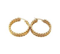 Fashionable Twist Rope Design Sturdy Stainless Steel Earrings Portable Accessory Sensitive Ear Clothes Unique Design Earrings, フリーサイズ