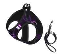 Fashional Purple Hearts print Dog Harness and Leash Set, Reflective Adjustable Puppy Vest for Small Medium Large Dogs, Cats