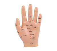 FashionCha Child Size Acupuncture Hand Model for Educational Purposes, 15x8.5cm