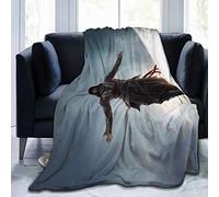FASHIONDIY Assassin's Creed Blanket Oversized Warm Adult Super Soft Blanket With Soft Anti-pilling Flannel For Adults & Kids 3D Print 80"x60"