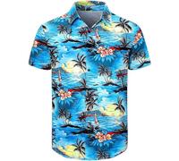 Fashonal Men's Hawaiian Shirt Button Down Tropical Beach Short Sleeve Aloha Shirt, Blue, XL