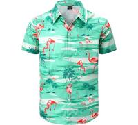 Men's Hawaiian Shirt Button Down Tropical Beach Short Sleeve Aloha Shirt, Flamingo Green, XXXXL