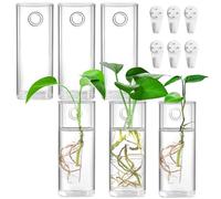 Fasmov 6 Pack Wall Hanging Glass Planters, Plant Terrarium, Air Plants, Succulents, Flowers, Modern, Transparent, Square, Both Indoor & Outdoor, 2.36" L x 2.36" W x 6" H