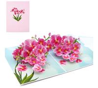 Fassory 3D Pop Up Pink Orchid Flower Card - Multi-Occasion: Birthday, Anniversary, Thank You, Congratulations, Good Luck, Thinking Of You